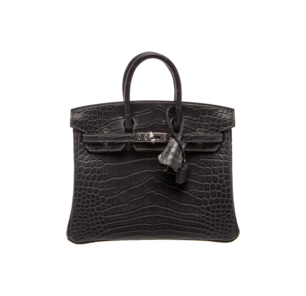 Hèremes Matte Alligator Mississippiensis Birkin 25